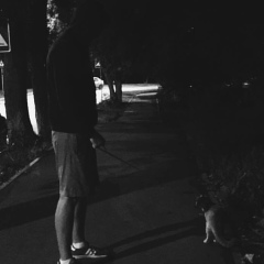 Dima Deis, 16.11, Новосибирск