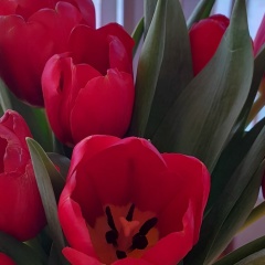 Анна Баталова, 18.10, Санкт-Петербург