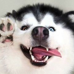 Андрей Петров, 10.09.1988, Омск