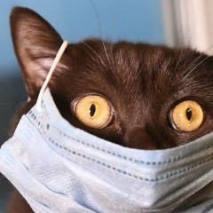 Дмитрий Данилов, 10.05, Нижний Новгород