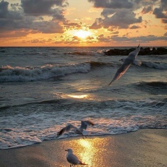 Алина Суван-Оол, 28.04, Шагонар