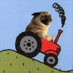 Дмитрий Комельков, 17.09.1979, Челябинск