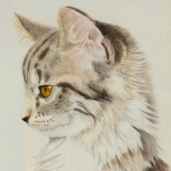 Юлия Стрункова, 11.01.2002, Чебоксары