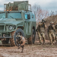 Тимур Ковальский, 30.11, Алматы