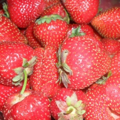 Гузель Назриева, 01.09.1977, Уфа