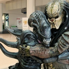 Надежда Земскова, 11.05.1984, Москва