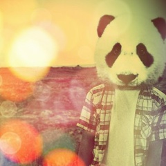 Илья Пухов, Санкт-Петербург