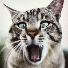 Максим Павлов, 09.03, Москва