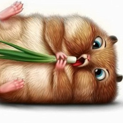 Альфия Батталова, Уфа