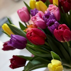 Карина Хачатрян, 17.07.1990, Геленджик