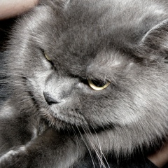 Людмила Чекменкина, 14.07, Тверь