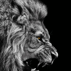 Ибрагим Богачемлимов, 22.05, Москва