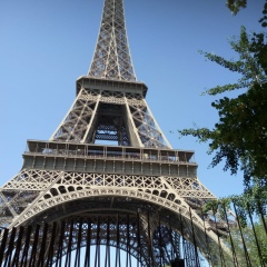 Елена Елена, 28.01