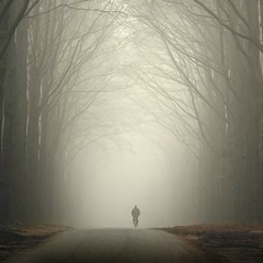 Арсен Байгереев, 17.12
