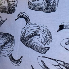 Курбан Шайдабеков, 30.05, Нарьян-Мар