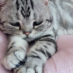 Наталья Дементьева, 17.07.2000, Ступино