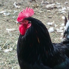 Татьяна Васильева, 25.02.1980, Зерноград