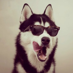 Евгений Николаевич, 01.01.2000