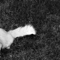 Денис Гоменюк, 14.04, Санкт-Петербург