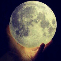 Максим Ким, 19.08.1992, Ташкент