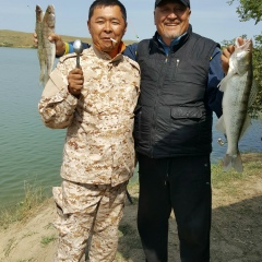 Арман Картанбаев, 02.04.1981