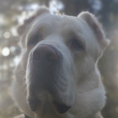 Арина Петрова, 31.10, Санкт-Петербург