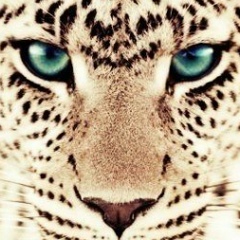 Rabiya Ahmedova, 06.04.1994