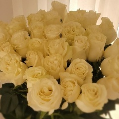 Есения Майер, 03.04, Стерлитамак