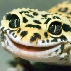 Алексей Калашнёв, 01.03, Нижний Новгород