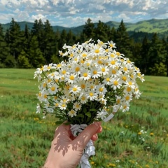 Катя Ершова, 07.01, Йошкар-Ола