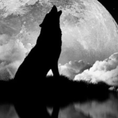 Leisan Saifutdinova, 08.02