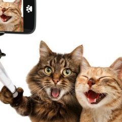 Natalia Kouznetsova, 22.04, Oslo