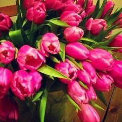 Olga Kurasa, 30.04.1981, Palma