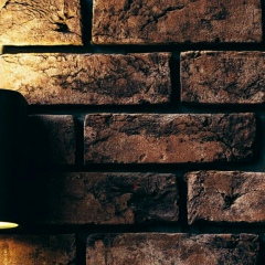 Ксения Шарова, 10.02, Киев