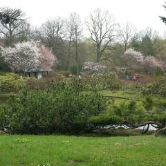 Айжан Керимкулова, 17.02.1989, Бишкек