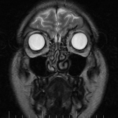 Евгений Богданов, 14.07.1989, Москва