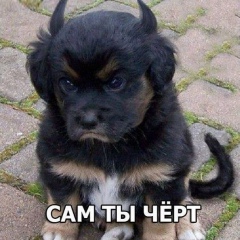 Евгений Боженко, 02.10, Армавир