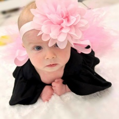 Александр Ротарь