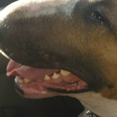 Анжела Умецкая, 12.11.1975, Мурманск