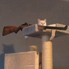 Вадим Бурдаев