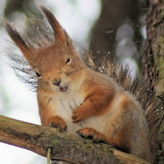 Татьяна Симагина, 29.08, Шымкент