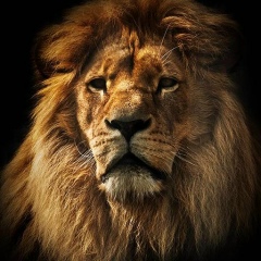 Берик Гусанов, 04.03.1996, Москва