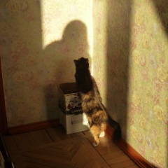 Карина Мамалыго, 08.03