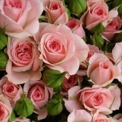 Анна Попова, 18.12.1980, Южно-Сахалинск