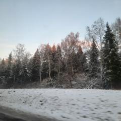 Iris Kiss-Kiss, Москва