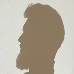 Дмитрий Тонишев, Воронеж