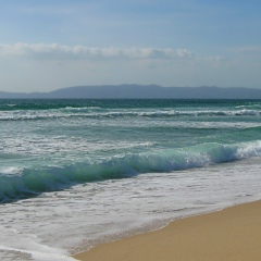 Анна Грищенко