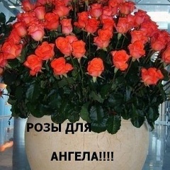 Нина Ионова, 27.05, Светловодск