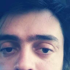 Сергей Березовой, Фастов