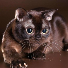 Оксана Скрипчук, 28.01.1993